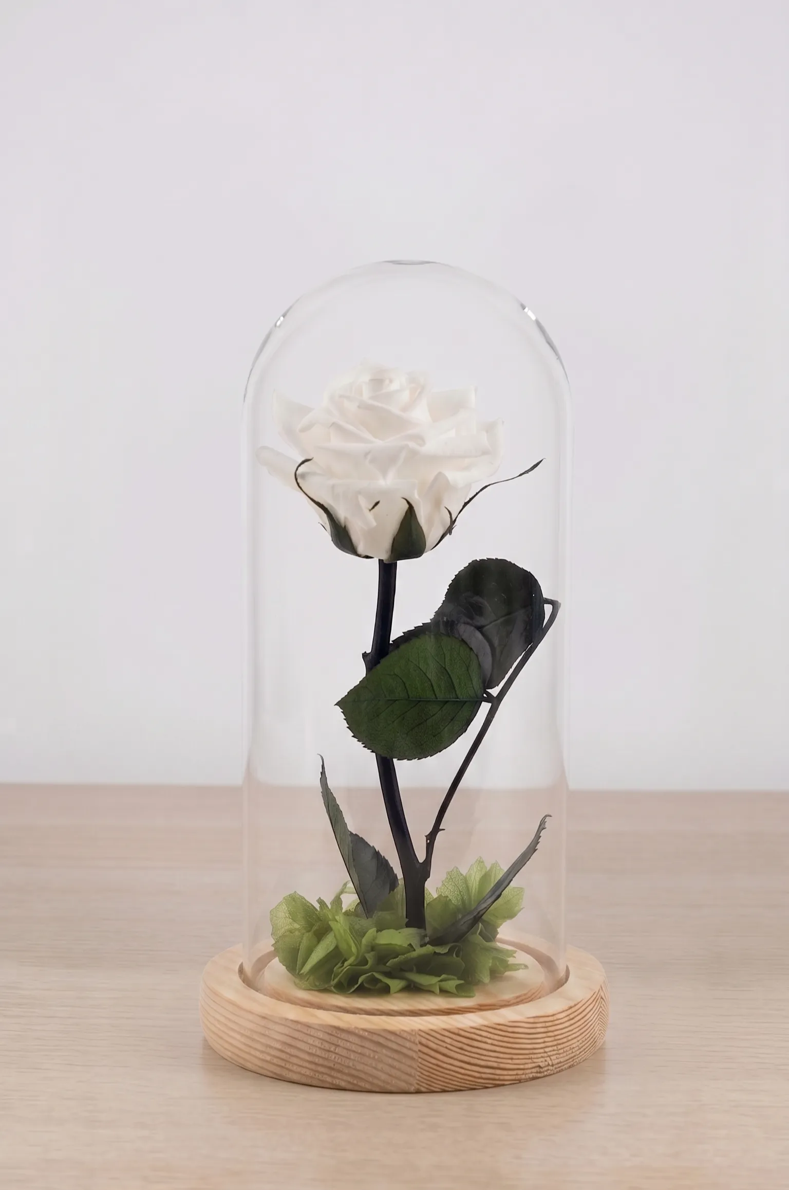 Rosa rosa eterna preservada bajo cúpula de cristal con luces y detalles botánicos sobre base de madera para regalo de aniversario