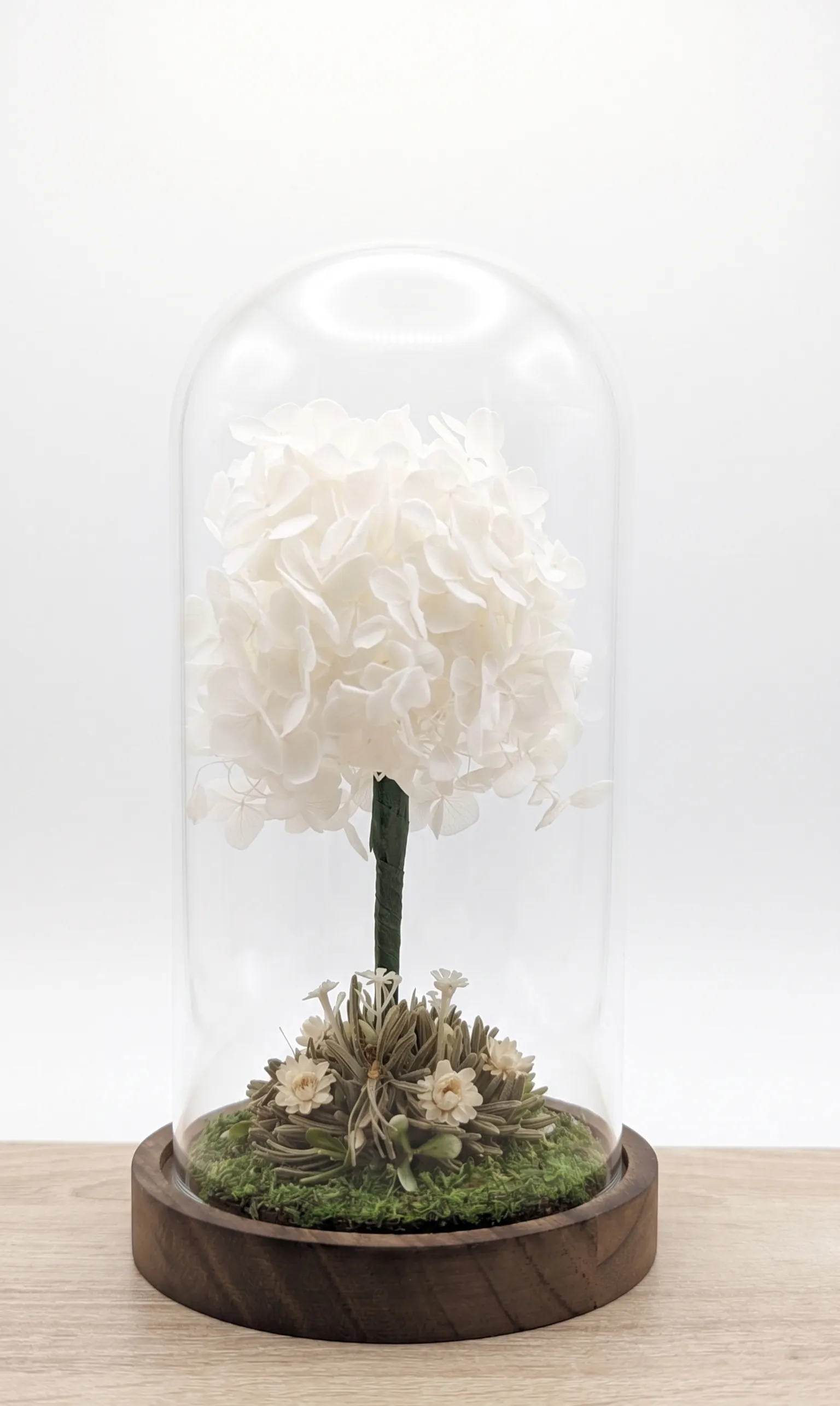 Arbolito decorativo hecho con flores preservadas de color blanco en forma de nube sobre base de madera, ideal para decoración de interiores